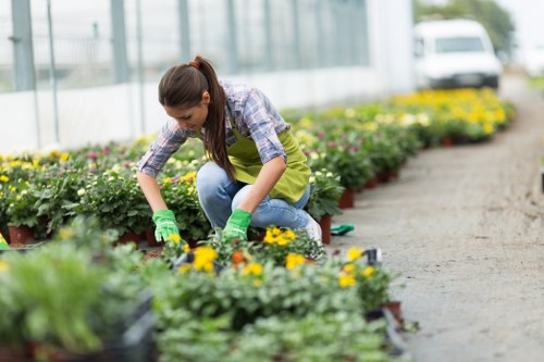 Landscaping ideas for Towerhamlets gardens and courtyards