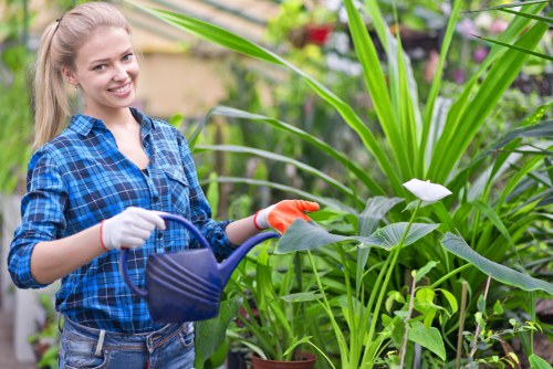 Local garden maintenance work in a Towerhamlets residential garden
