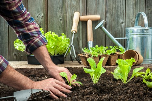 Accessibility statement introduction for Tower Hamlets landscaping services