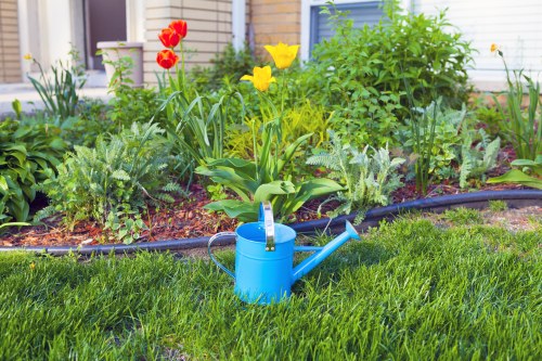 Professional lawn care for a residential garden in Towerhamlets