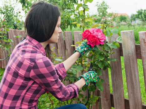 Local planting services for a Tower Hamlets garden bed