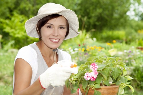 Seasonal turf care and mowing for a commercial outdoor space