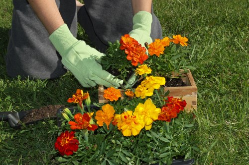 Professional landscaping team improving an urban outdoor space