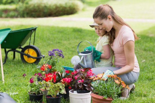 Local grass cutting and edging service for a small urban lawn
