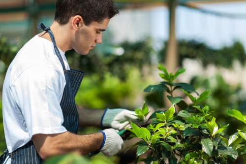 Trusted online payment methods for Landscapers Towerhamlets