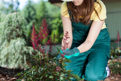 Keyboard navigation and accessible local landscaping information