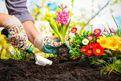 Accessibility request support for landscapers in Tower Hamlets