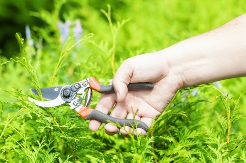 Marketing cookie management on Landscapers Towerhamlets website