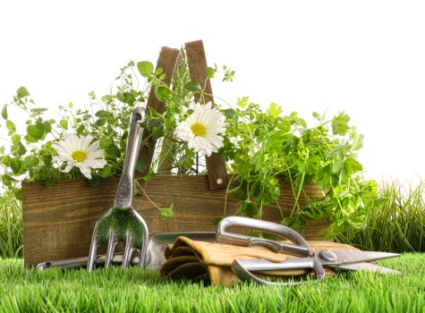 Screen-reader friendly landscaping content in Tower Hamlets