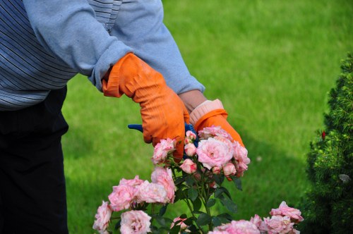 Professional hedge maintenance for a local property boundary