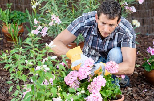 Closing note on accessibility support for Tower Hamlets landscaping