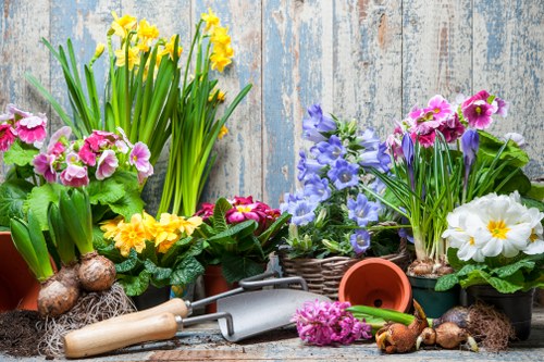 Seasonal garden maintenance for a compact urban outdoor space